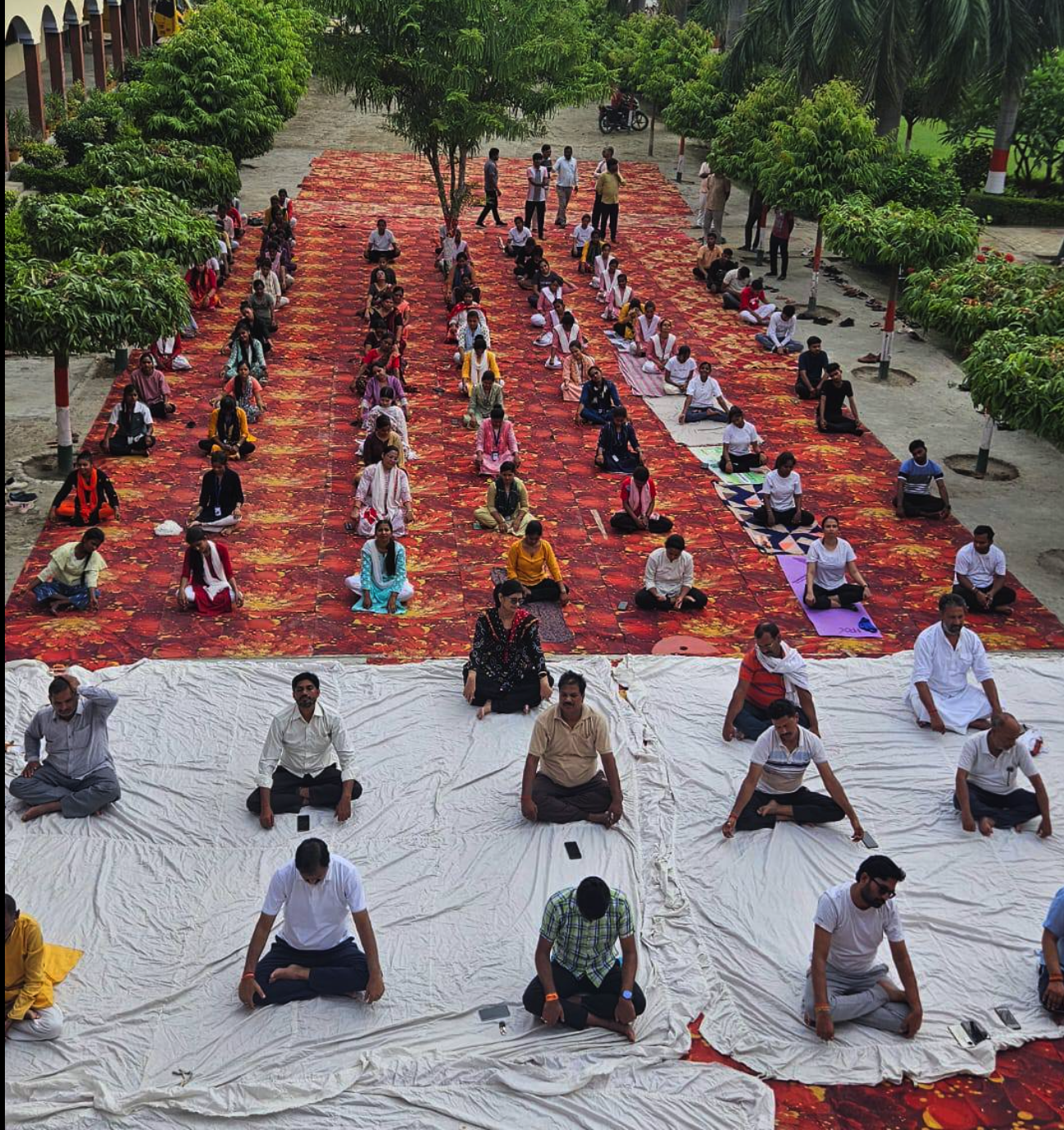 Yoga Day Celebration